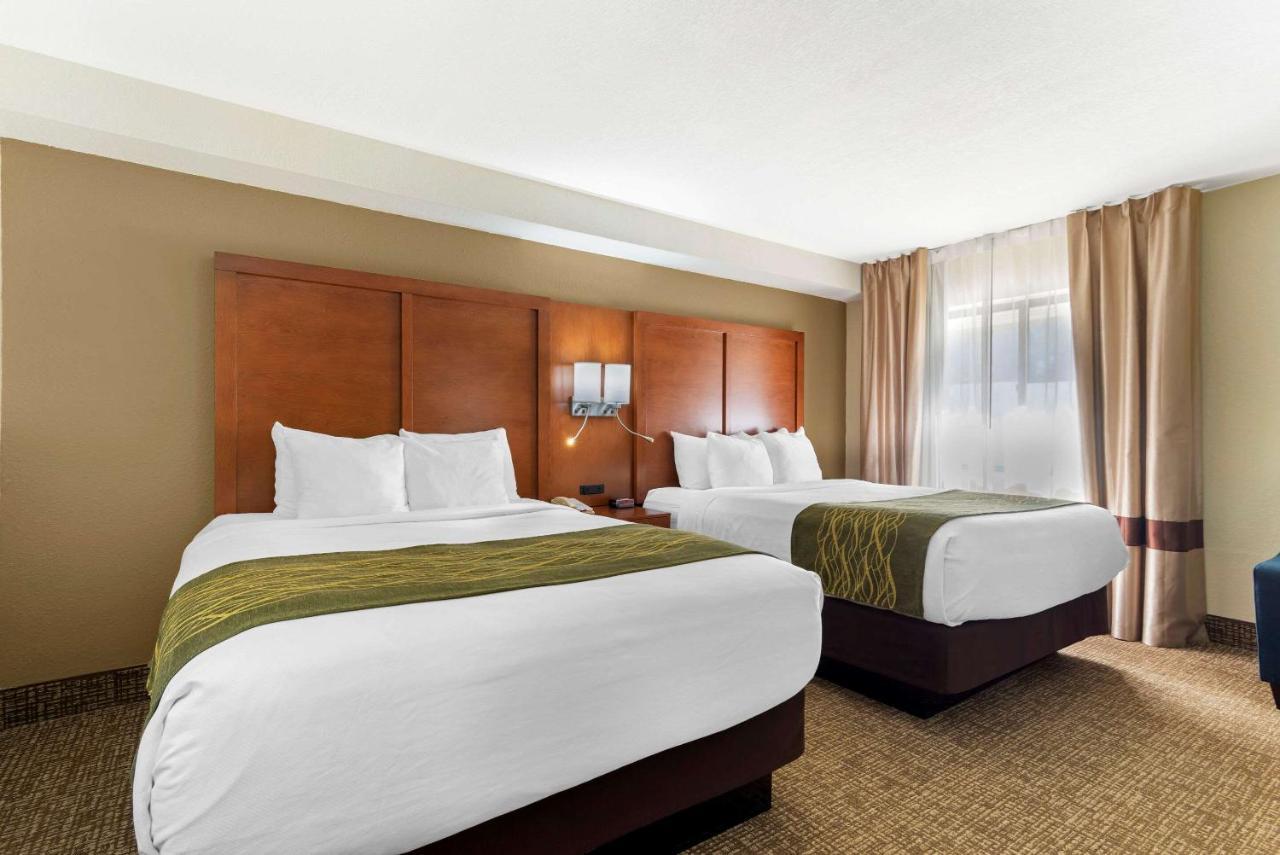 Comfort Inn & Suites - Near Robins Air Force Base Main Gate Warner Robins Esterno foto
